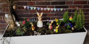 Hasenschule im Pflanzkübel