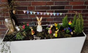 Hasenschule im Pflanzkübel